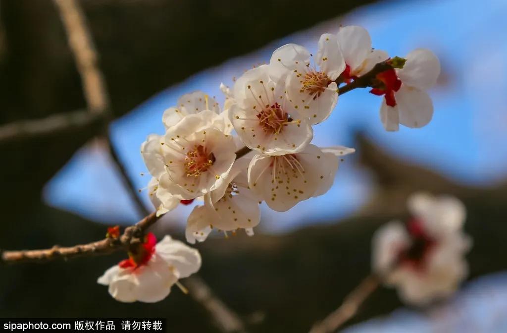 藏不住了!北京这些地方即将美出天际,你居然不知道?