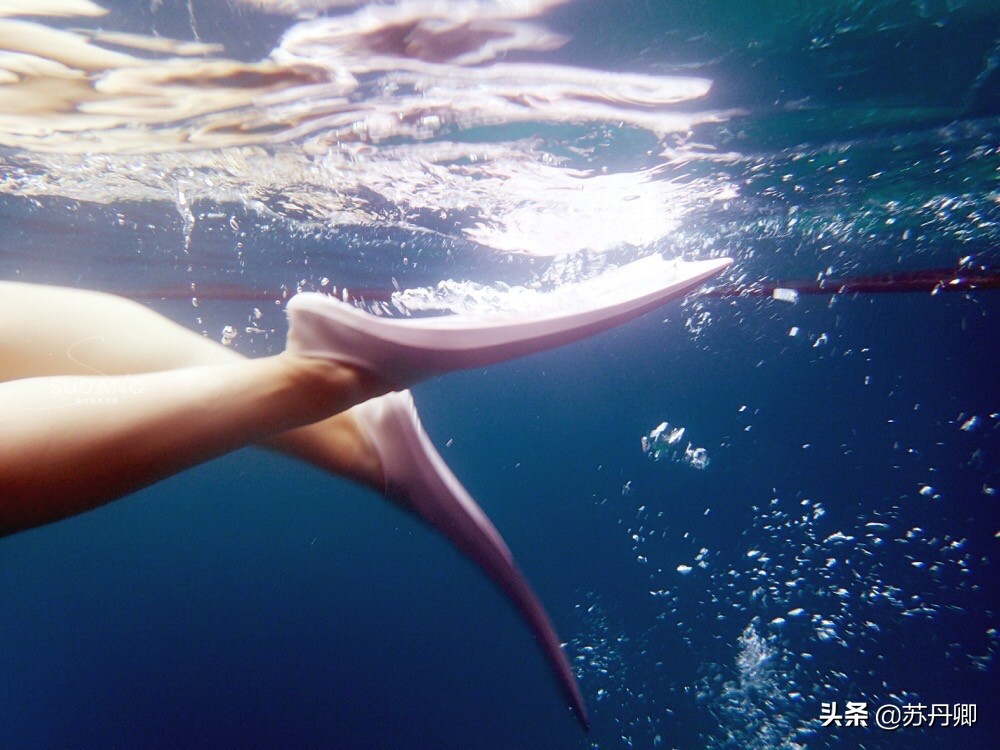 极限潜水死亡名单,潜水的死亡率高