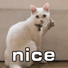 这才爆红一年就这么能“装”了?3w的包一背我都认不出来了…