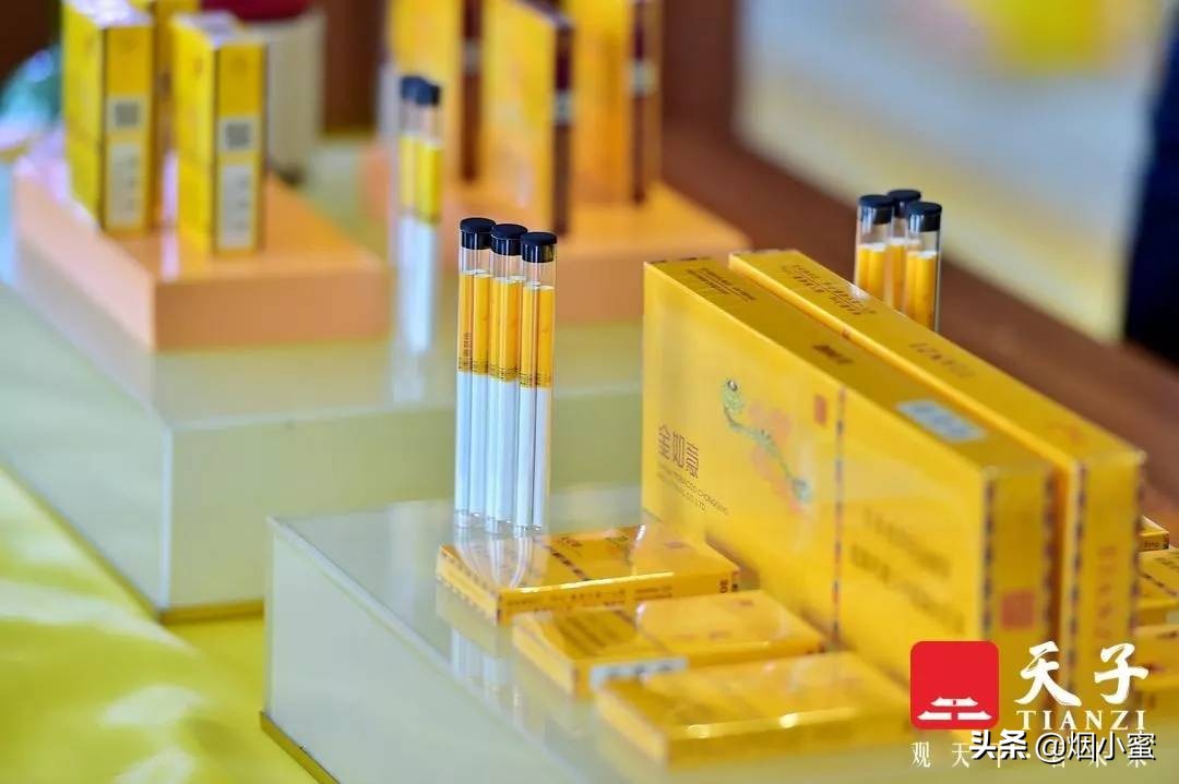 天子启新,天子发布会