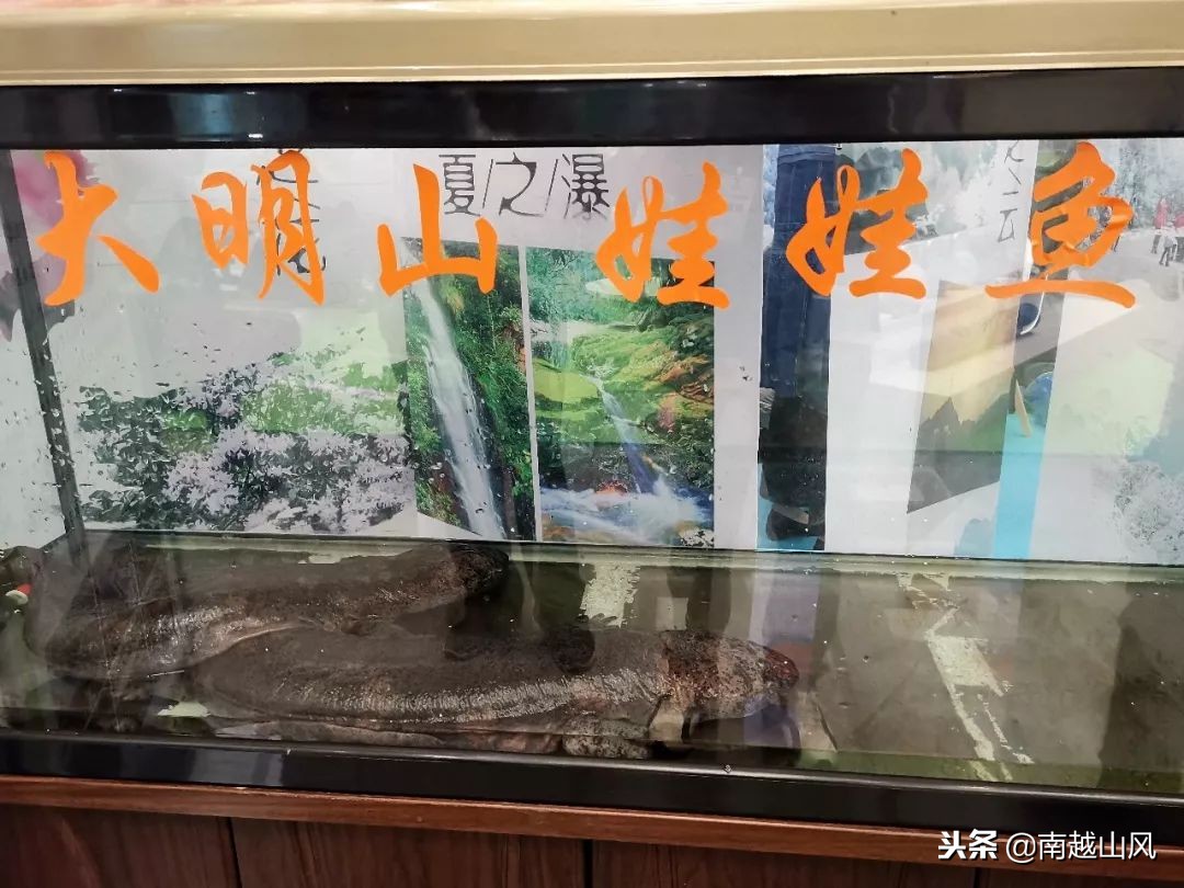 2019南宁体博会开幕式,南宁体育博览会