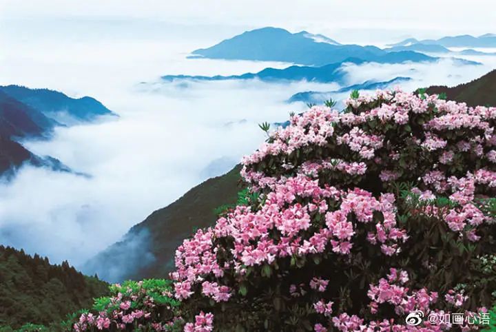 好消息,全国500+景区免费开放,这周末就去玩!