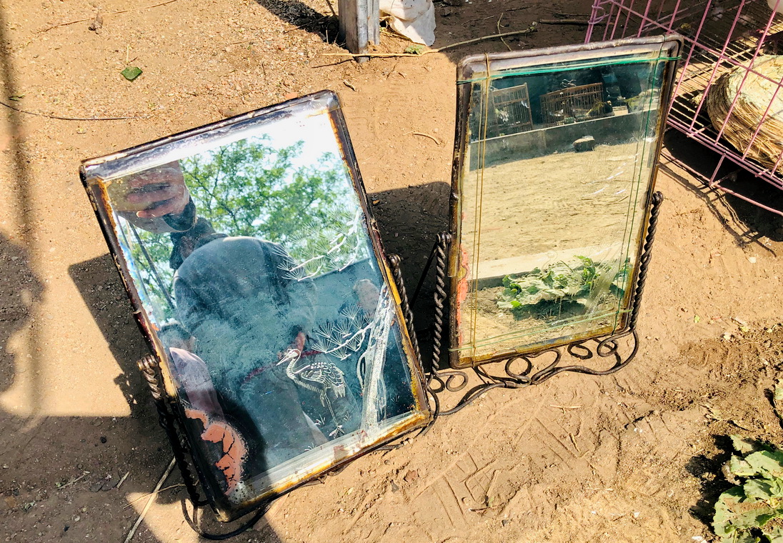 阜新旧货市场有哪些,阜新旧货市场都有啥