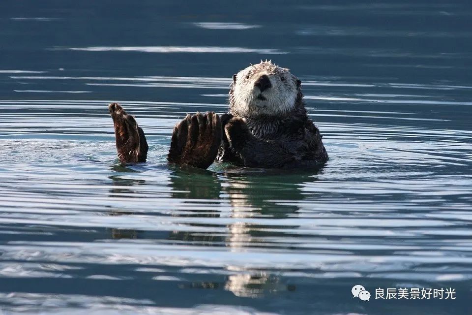 大阪ose期货国内可以交易吗,大阪osaksa食堂