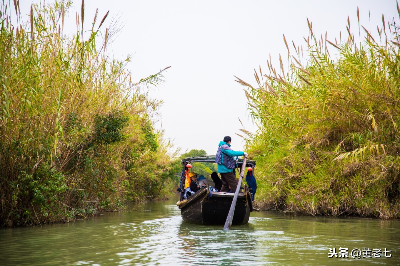 带你走进沙家浜景区,现在沙家浜景区