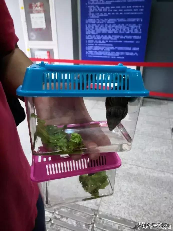 花了大价钱!去极地海洋馆玩买了这个……居然上不了9号线