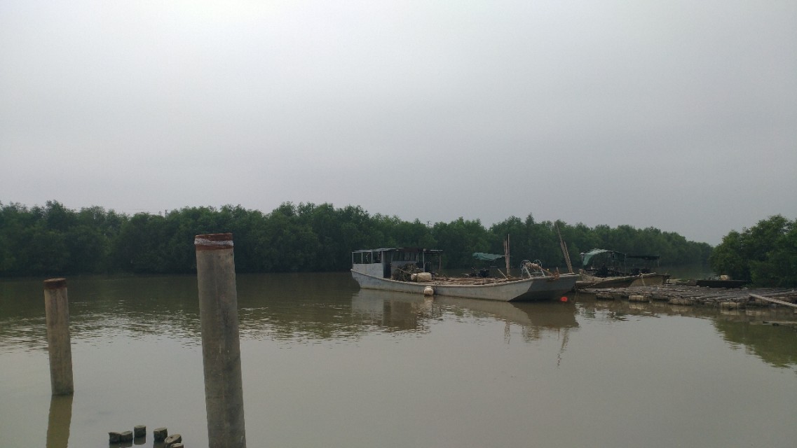 中山崖口美食推荐,崖口村煲仔饭云吞团购