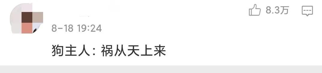 八旬老人被狗绳绊倒身亡如何避免,老人被狗绳绊倒是什么狗