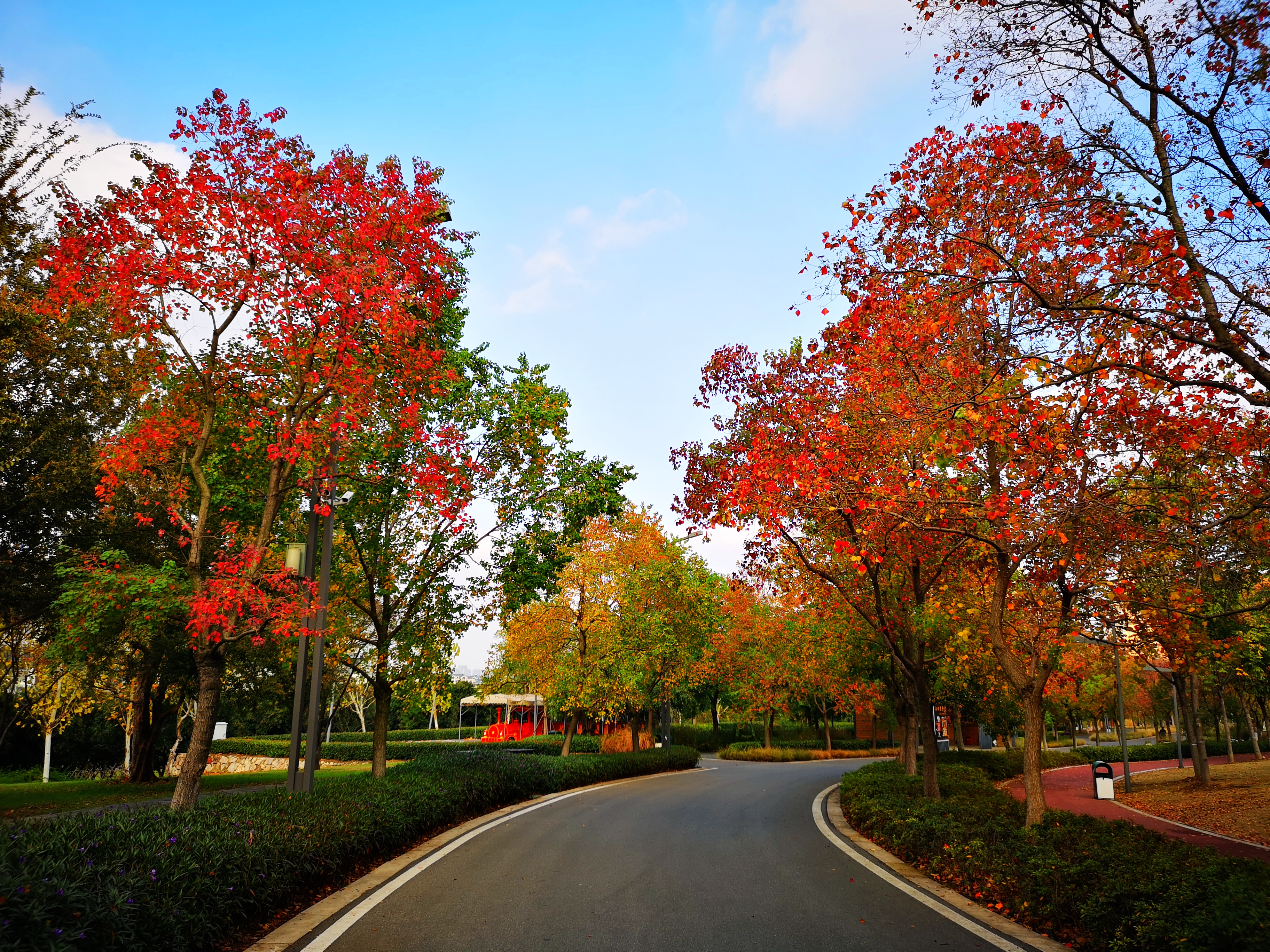沉睡了千年的历史,沉睡的历史神秘的墓葬