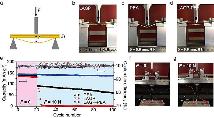 哥伦比亚大学杨远、陈曦团队AM：珍珠层结构电解质，用于可负载固