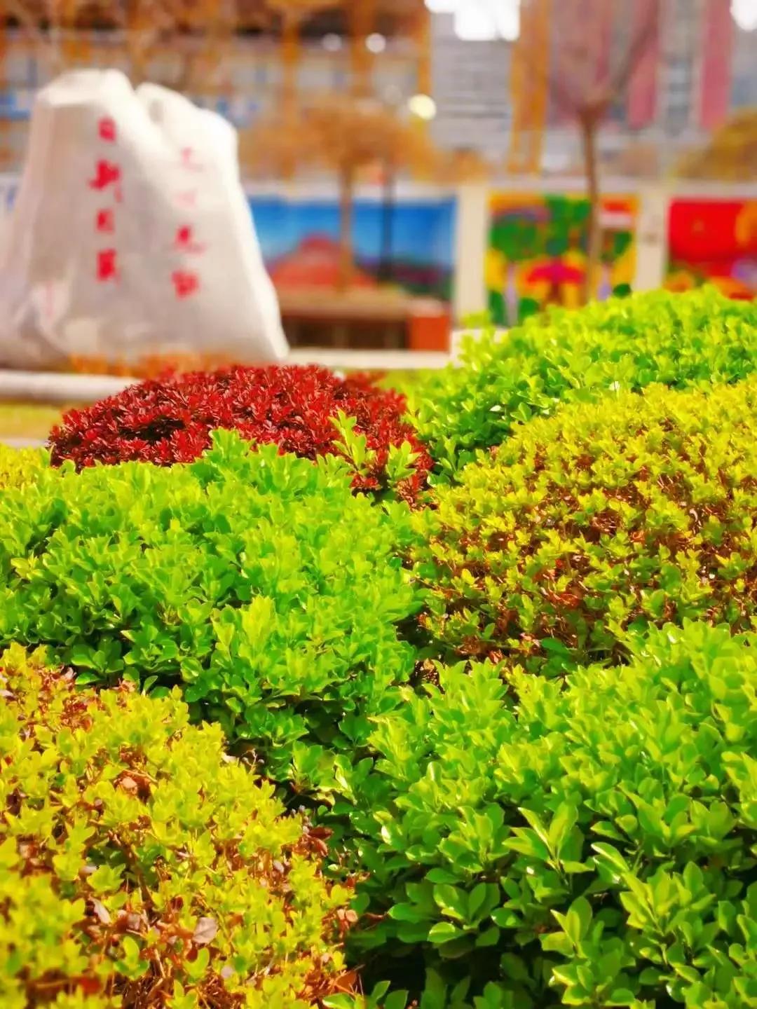 天津高级中学,天津市第二南开中学录取分数线