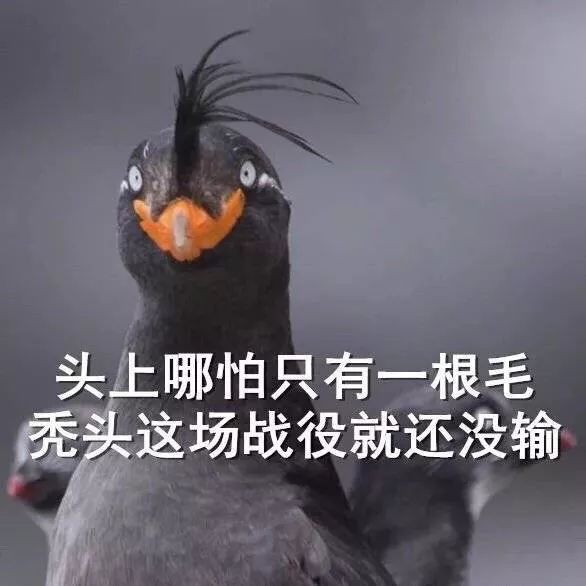 古代头发那么长会脱发吗,古人脱发了怎么办