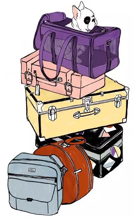 出国留学的目的和意义,出国留学的初衷是什么