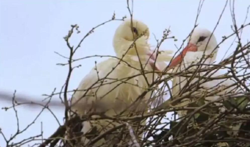 18年感人的爱情故事视频,18年的爱情故事