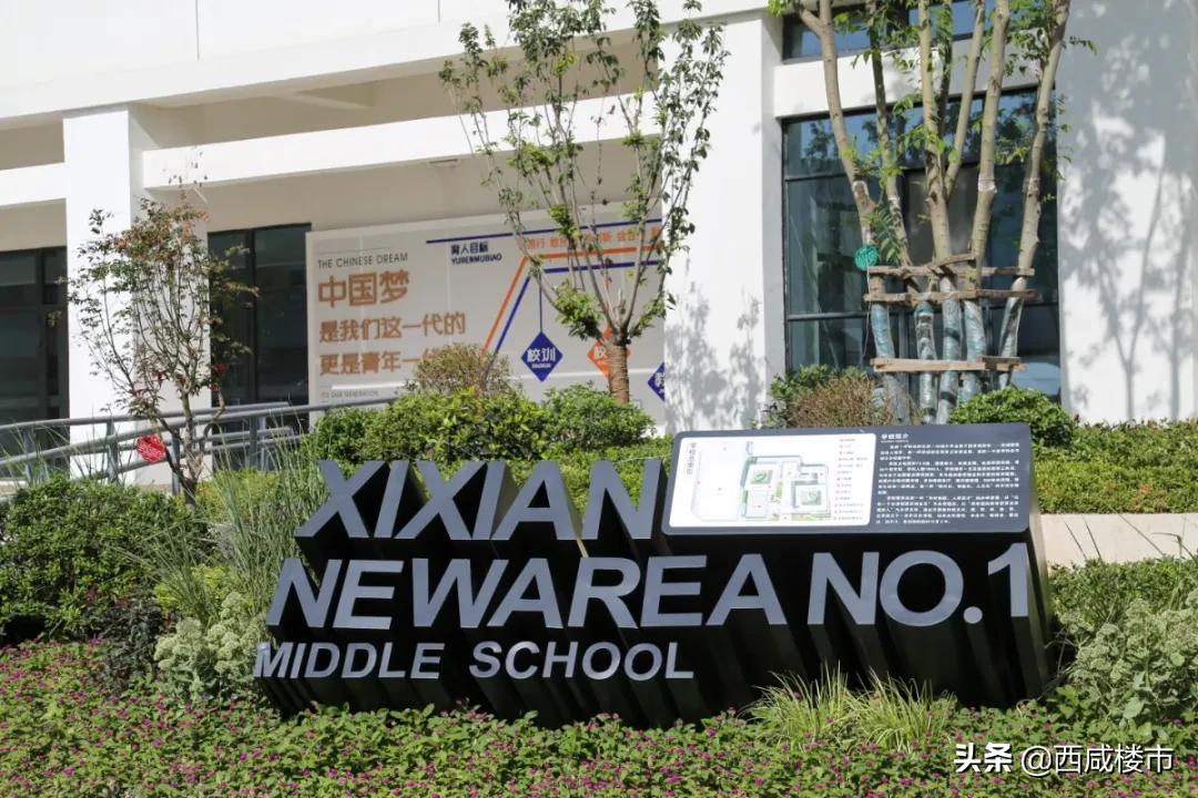 新增的231个学位是什么,5年内新增438万公办学位