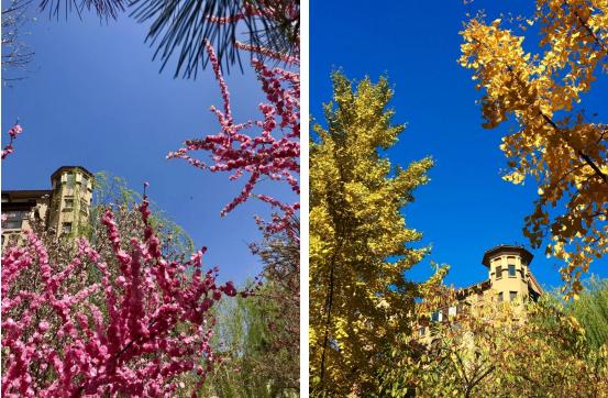 美好家园12号楼,美好家园美好时光