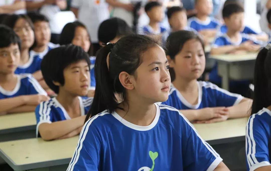 王楠小球大爱,王楠小球大爱公益