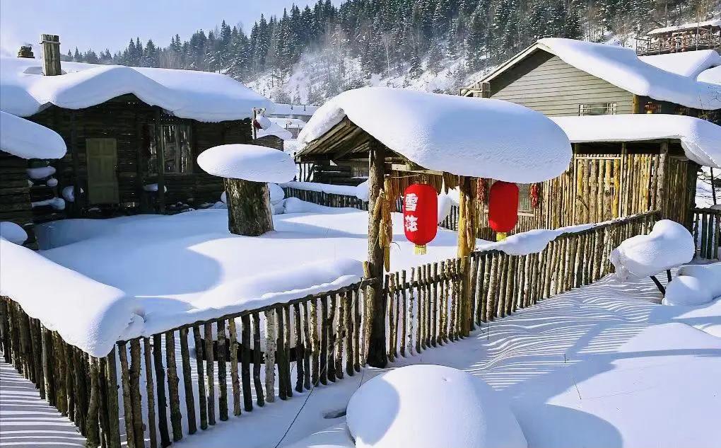 我在“泡菜之乡”当老大，统4万粉组泡菜帮，赔钱也得保第一