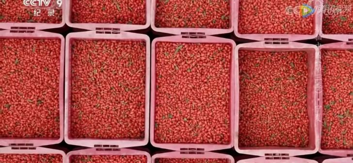 航拍中国宁夏详细景点,航拍中国宁夏详细笔记