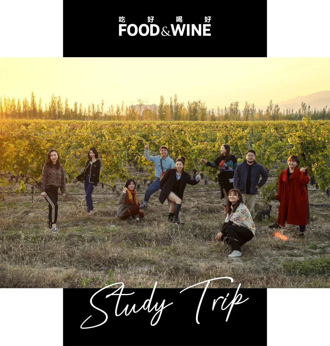 中国造葡萄酒,中国制造的葡萄酒