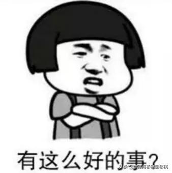 在德国挣30万,在德国挣了1200万