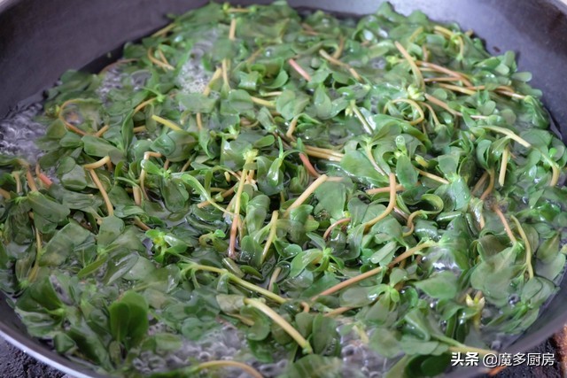 农村菜地里一种野菜酸酸甜甜的,农村常见能吃的野草和做法