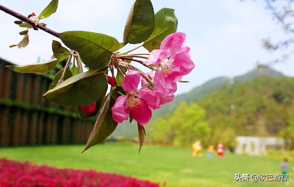 宁波东钱湖花博园酒店,宁波东钱湖亲子度假酒店排名
