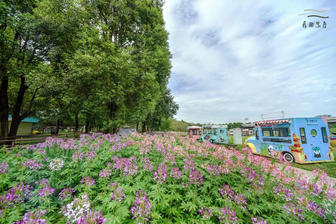 成都三圣乡恐龙主题公园,三圣乡恐龙主题公园地址