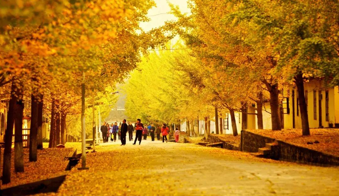 有个地方叫南雄,岭南一隅的南雄