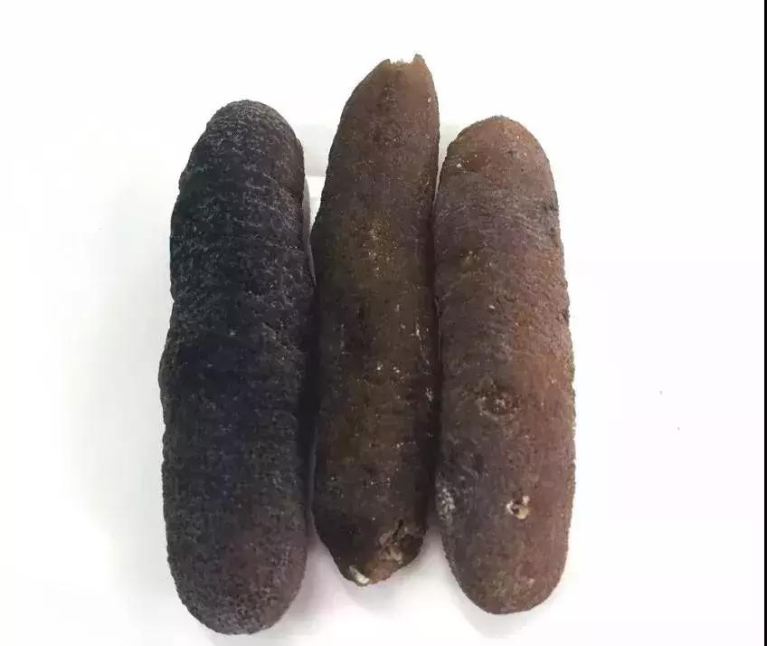 海参的高级介绍,海参营养丰富可你真的了解海参吗