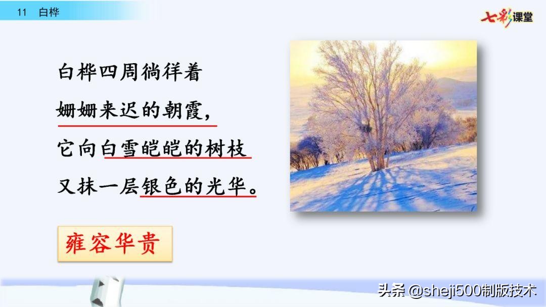 语文教科书四年级下册11课白桦,四年级语文书下册白桦讲解及预习