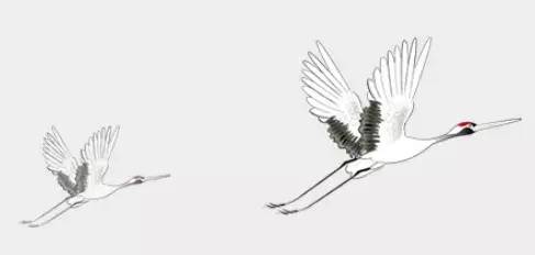 生僻字歌曲出处,生僻字歌词赏析