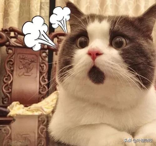 叶檀富豪榜,叶檀财经故事