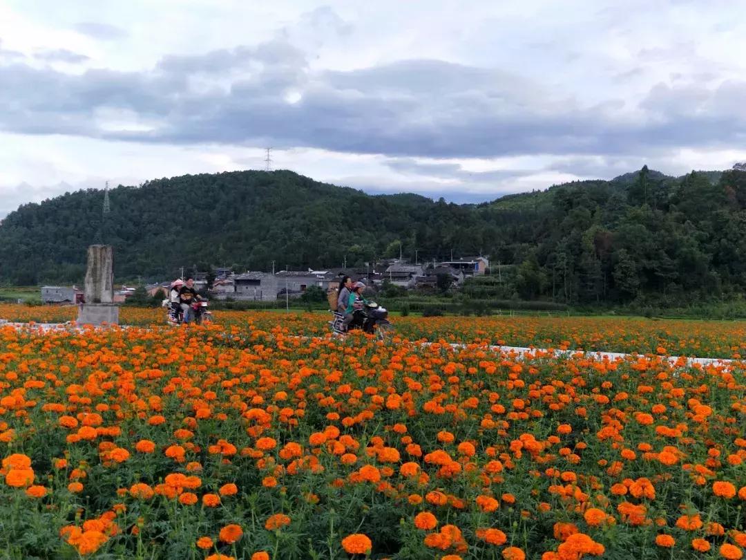 腾冲可以玩可以吃环境好的农家乐,腾冲花海美食