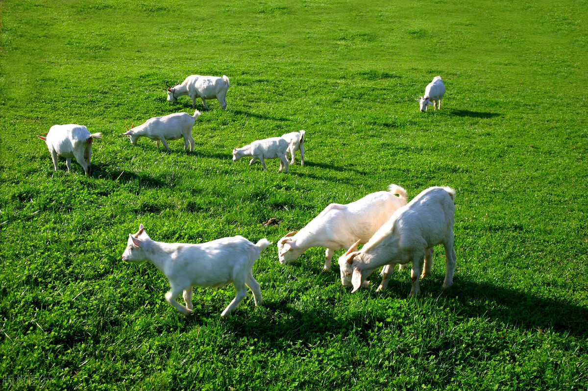重庆人去哪里避暑最合适,重庆人适合出去避暑地方推荐