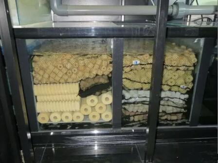 鱼缸细菌屋放在底砂底下吗,鱼缸细菌屋下面