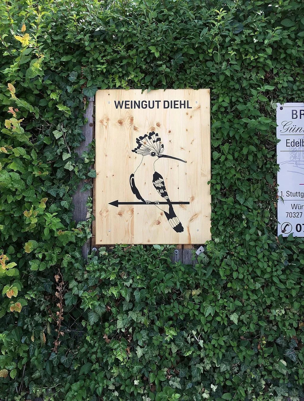 创意品牌vi设计价位,创意品牌vi设计图