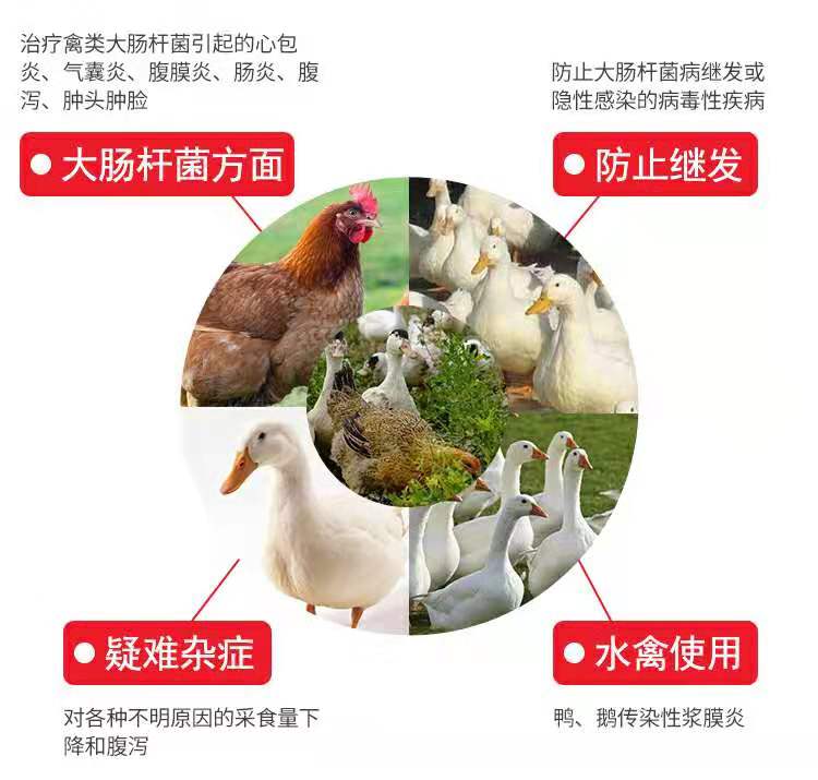 鸡病特效药好得快,鸡病反复喂什么药