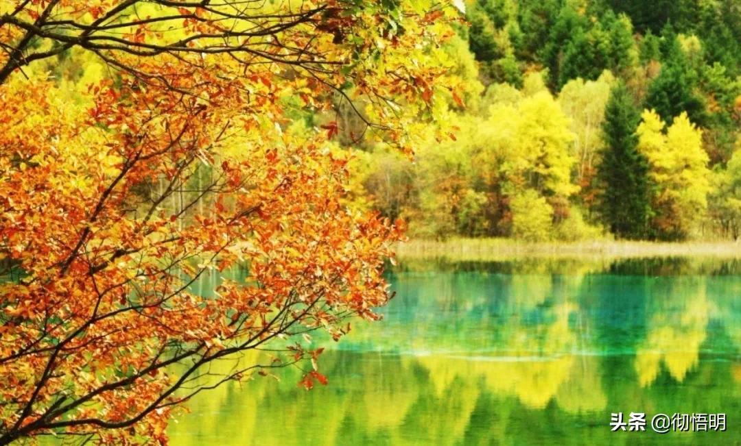 华夏大地人杰地灵地大物博,泱泱华夏大好河山视频