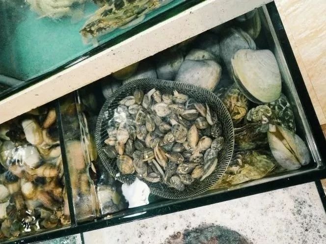 深圳批发年货零食市场,今年深圳的年货市场在哪里