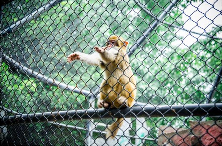 成都南湖梦幻岛亲子套餐,成都双流南湖梦幻岛门票团购