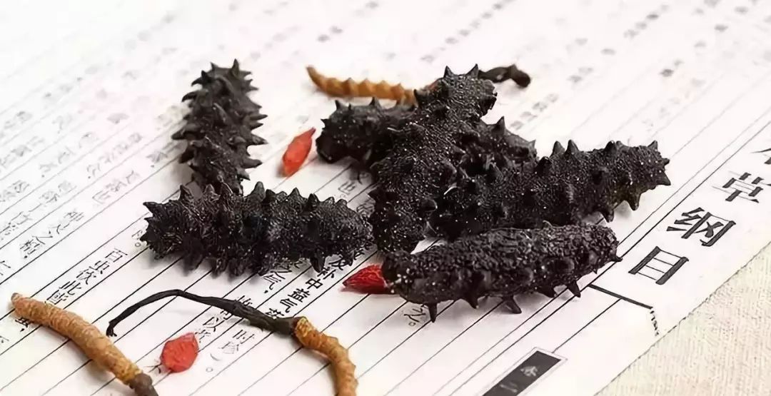 最新海参泡发教程,最有效的海参泡发方法视频教程