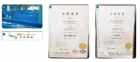 卖鱼从零开始自动仓库发挥最大效益—名升海产高雄物流中心