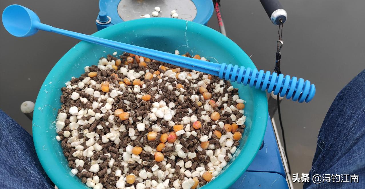 冬季钓大鱼用玉米可以吗,冬季钓大鱼用玉米好吗