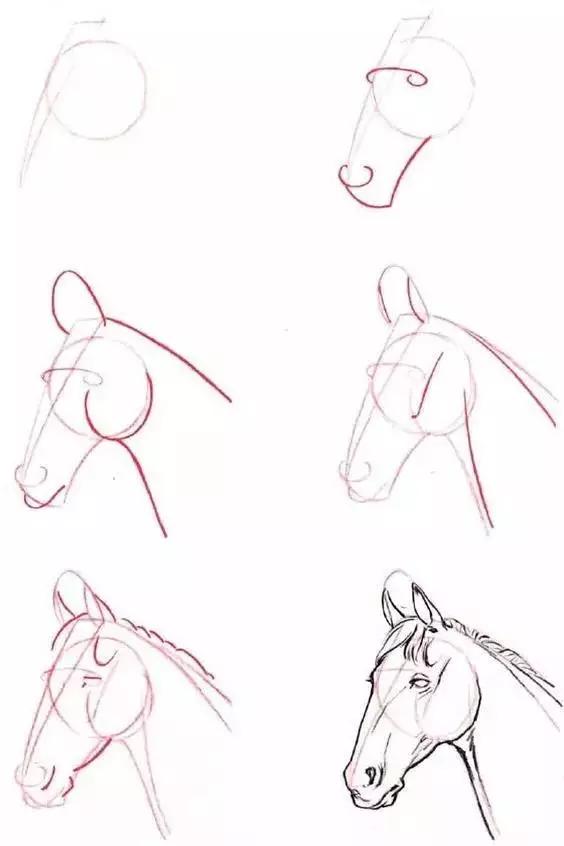 1-10数字动物简笔画图片大全,简笔画小动物100种可爱海底动物