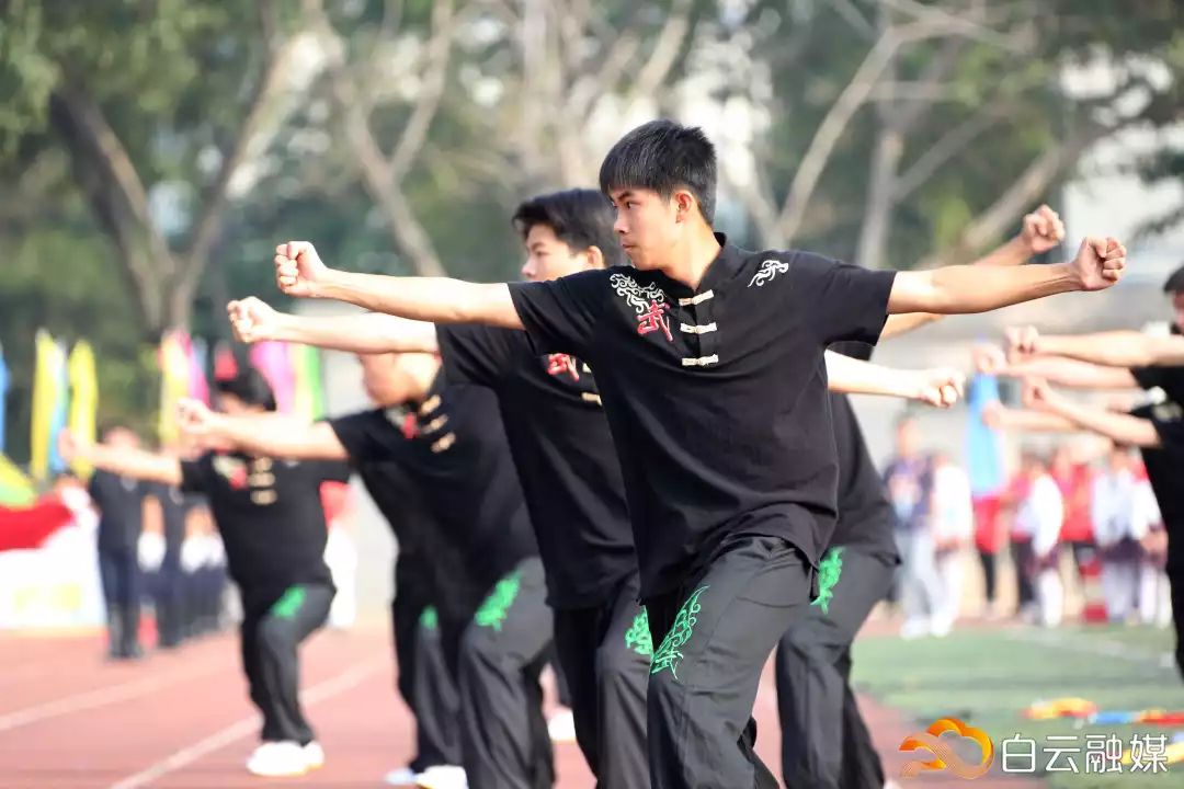 横栏小学校园田径运动会,2019白云区中小学生田径运动会