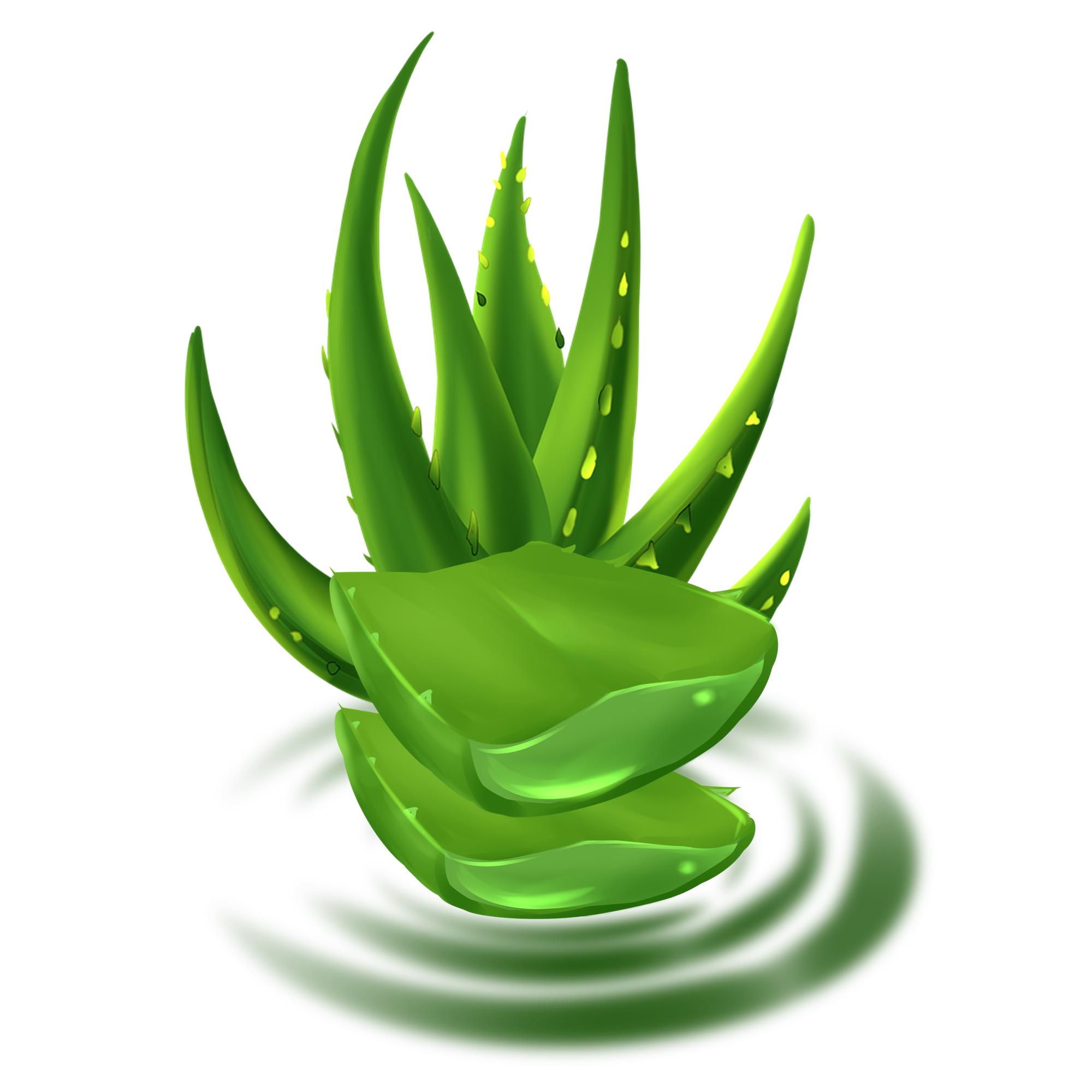 芦荟护肤品怎么用最好,芦荟护肤效果