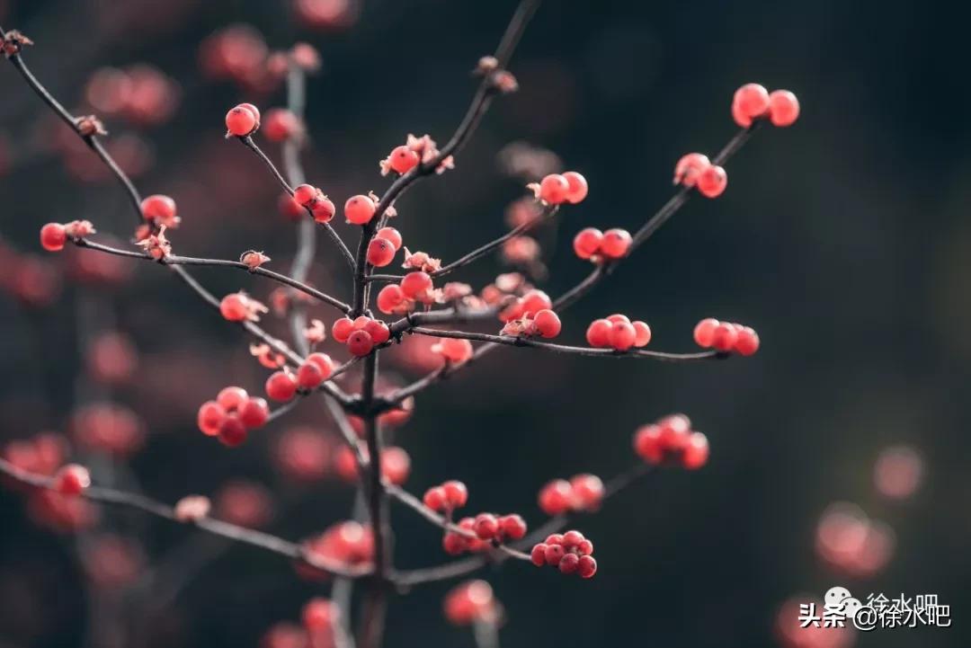 「徐水映像」换个角度看保定徐水,美