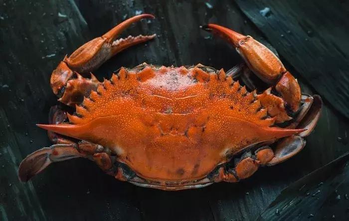 以假乱真真假留学生,以假乱真系列留学生