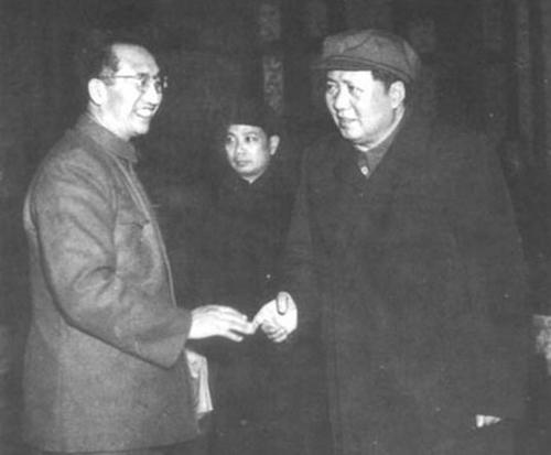 同学讨论谁爸爸官更大，元帅儿子竟插不上嘴，逝世后骨灰撒入大山